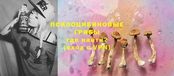 2c-b Инсар