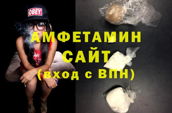 2c-b Инсар