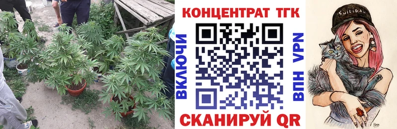 Купить где  Рошаль  Дистиллят ТГК Wax 